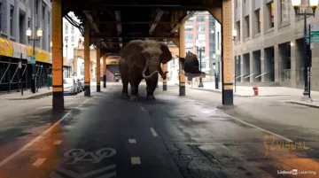 LinkedIn – After Effects:使用3D模型