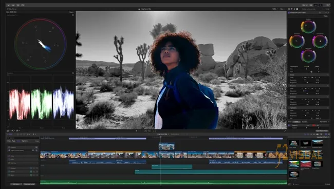 Final Cut Pro 11.0.1 macOS