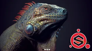 Gumroad – Substance Painter 有机实时纹理绘制完整课程:鬣蜥