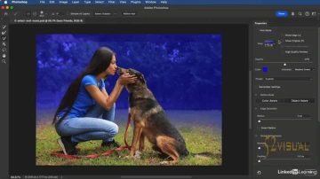 LinkedIn – Photoshop 和 Lightroom:蒙版基础