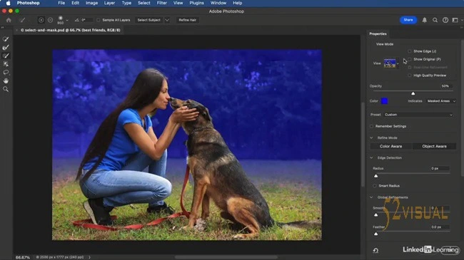 LinkedIn – Photoshop 和 Lightroom：蒙版基础