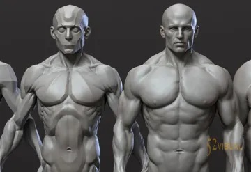 CGBump – Zbrush 中级解剖学：男性和女性