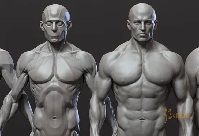 CGBump – Zbrush 中级解剖学：男性和女性