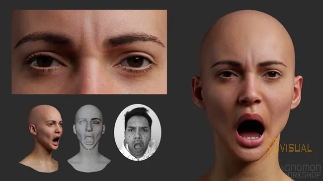 The Gnomon Workshop – FACS面部动作捕捉绑定 – Maya与Marmoset Toolbag工作流程
