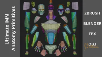 George Zaky 终极 IMM 解剖基本体笔刷工具包 - ZBrush/Blender 3D角色建模资源