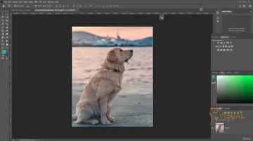 Udemy – Adobe Photoshop 大师班:从新手到专业照片编辑