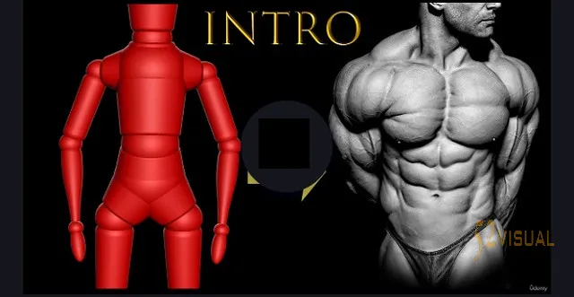 Udemy – 高级ZBrush健美运动员解剖教程 第2卷
