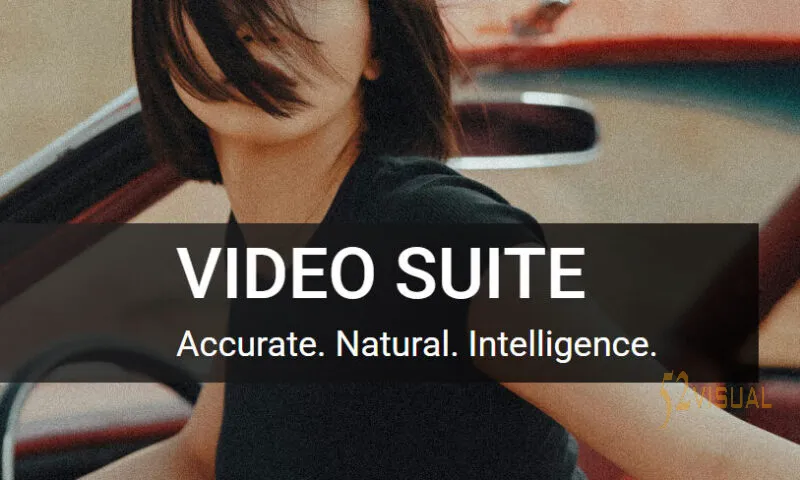 Imagenomic Video Suite Win - Portraiture/Noiseware 视频磨皮降噪插