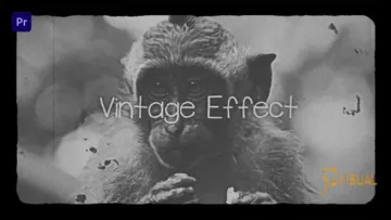 Videohive 复古效果