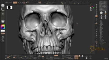 Zbrush颅骨雕刻教程 - Udemy人体解剖与角色设计大师课