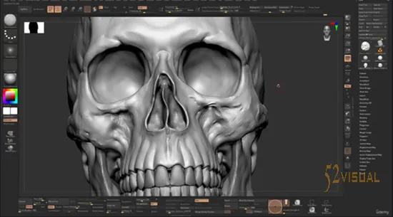Zbrush颅骨雕刻教程 - Udemy人体解剖与角色设计大师课