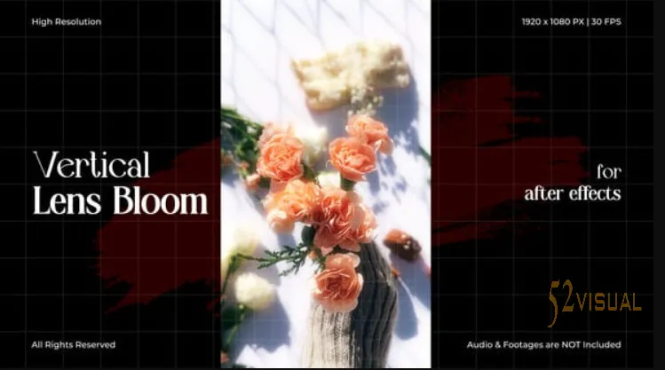 Videohive Vertical Lens Bloom FX 垂直光晕特效AE模板