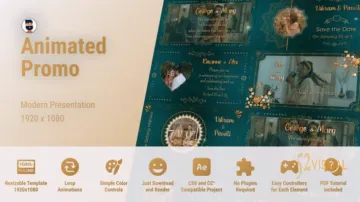 Videohive 印度婚礼电子邀请函AE模板 - 传统南亚婚礼视频制作