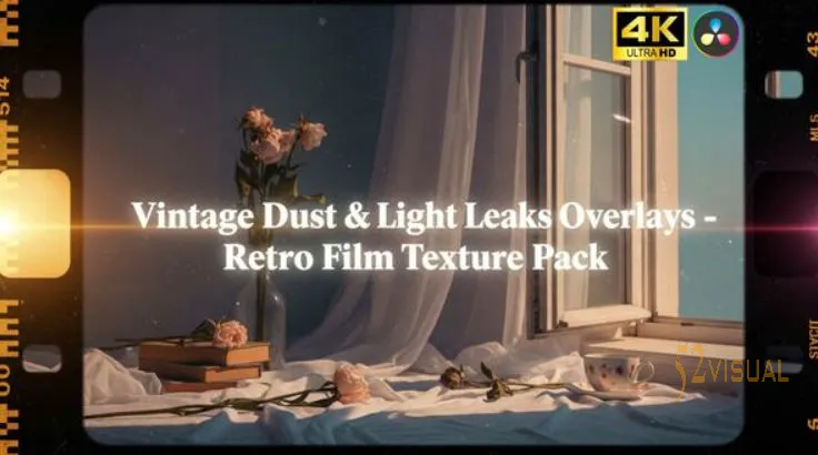 Videohive 复古灰尘与光漏叠加层 - 适用于DR的复古胶片纹理包