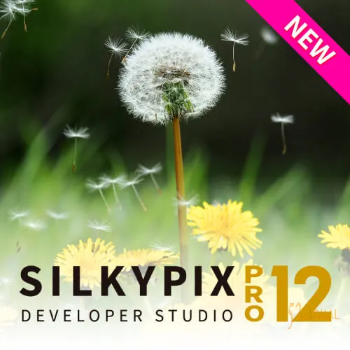 SILKYPIX Developer Studio Pro 12.0.3.0 RePack