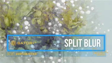 Split Blur 1.5.0（适用于 After Effects 和 Premiere Pro）