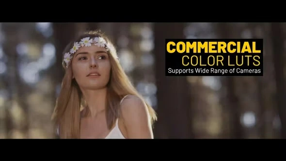 VideoHive 商业级 DaVinci Resolve 调色LUT预设 [CUBE]