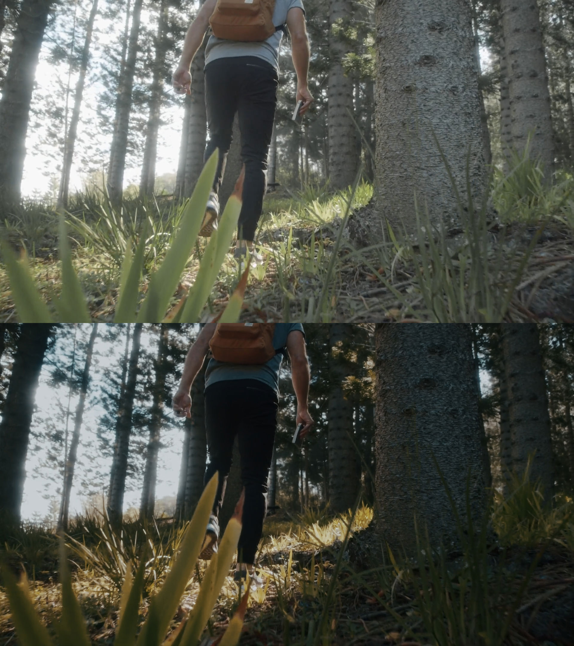 66084a3d25e19289998924facd96e827b1f5b514.jpg