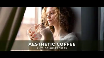 VideoHive Aesthetic Coffee 咖啡色调调色LUTs [CUBE]