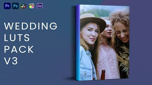 VideoHive 婚礼调色LUT预设包 V3 [CUBE]